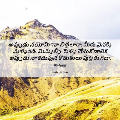 Picture 06 - రూతు 1:11 TELIRV - అప్పుడు నయోమి “నా - Bible Verse Picture