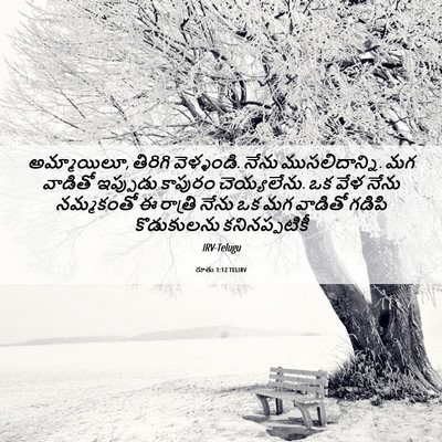 Picture 06 - రూతు 1:12 TELIRV - అమ్మాయిలూ, తిరిగి - Bible Verse Picture