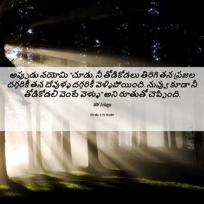 Picture 06 - రూతు 1:15 TELIRV - అప్పుడు నయోమి - Bible Verse Picture