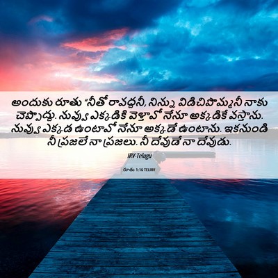 Picture 06 - రూతు 1:16 TELIRV - అందుకు రూతు “నీతో - Bible Verse Picture