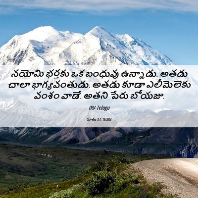 Picture 06 - రూతు 2:1 TELIRV - నయోమి భర్తకు ఒక - Bible Verse Picture