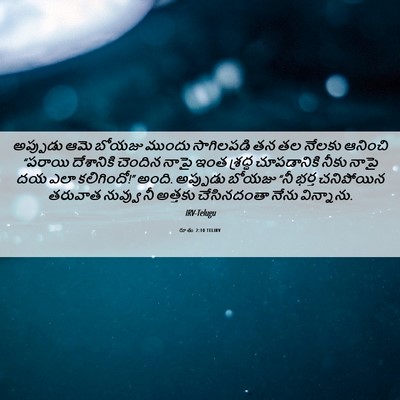 Picture 06 - రూతు 2:10 TELIRV - అప్పుడు ఆమె బోయజు - Bible Verse Picture
