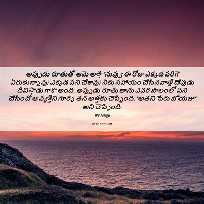 Picture 06 - రూతు 2:19 TELIRV - అప్పుడు రూతుతో - Bible Verse Picture