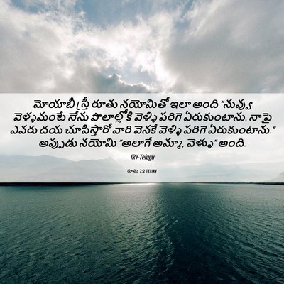 Picture 06 - రూతు 2:2 TELIRV - మోయాబీ స్త్రీ - Bible Verse Picture