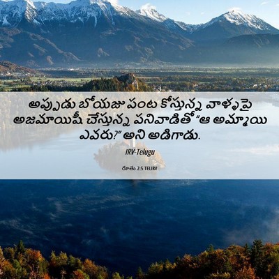 Picture 06 - రూతు 2:5 TELIRV - అప్పుడు బోయజు పంట - Bible Verse Picture