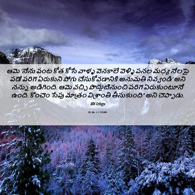 Picture 06 - రూతు 2:7 TELIRV - ఆమె ‘నేను పంట కోత - Bible Verse Picture