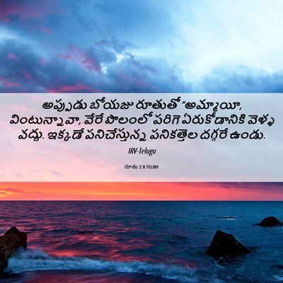 Picture 06 - రూతు 2:8 TELIRV - అప్పుడు బోయజు - Bible Verse Picture