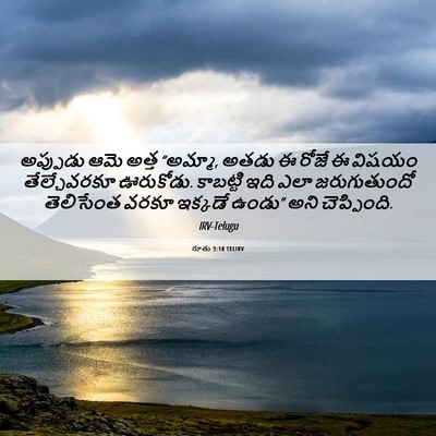 Picture 06 - రూతు 3:18 TELIRV - అప్పుడు ఆమె అత్త - Bible Verse Picture