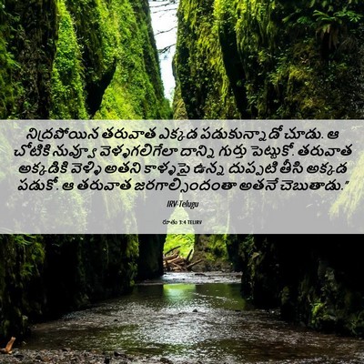 Picture 06 - రూతు 3:4 TELIRV - నిద్రపోయిన తరువాత - Bible Verse Picture