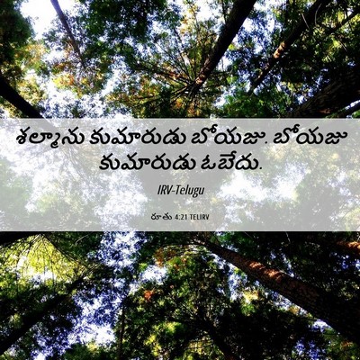 Picture 06 - రూతు 4:21 TELIRV - శల్మాను కుమారుడు - Bible Verse Picture