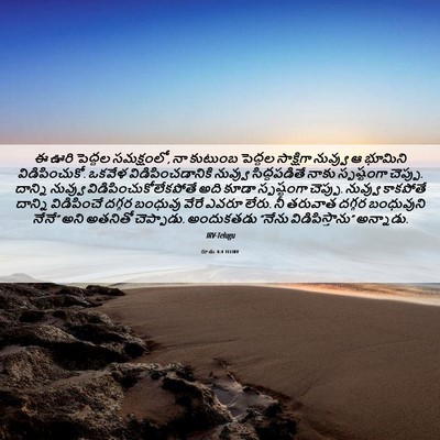 Picture 06 - రూతు 4:4 TELIRV - ఈ ఊరి పెద్దల - Bible Verse Picture