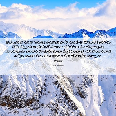 Picture 06 - రూతు 4:5 TELIRV - అప్పుడు బోయజు - Bible Verse Picture