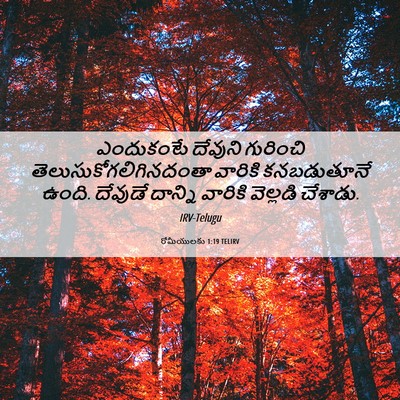 Picture 06 - రోమీయులకు 1:19 TELIRV - ఎందుకంటే దేవుని - Bible Verse Picture