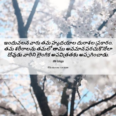 Picture 06 - రోమీయులకు 1:24 TELIRV - ఇందువలన వారు తమ - Bible Verse Picture