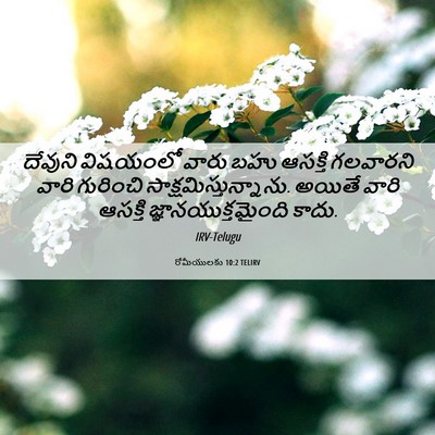 Picture 06 - రోమీయులకు 10:2 TELIRV - దేవుని విషయంలో - Bible Verse Picture
