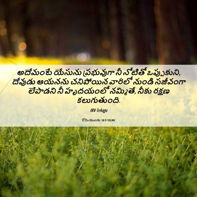 Picture 06 - రోమీయులకు 10:9 TELIRV - అదేమంటే యేసును - Bible Verse Picture