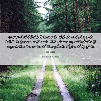 Picture 06 - రోమీయులకు 11:1 TELIRV - అలాగైతే నేనడిగేది - Bible Verse Picture
