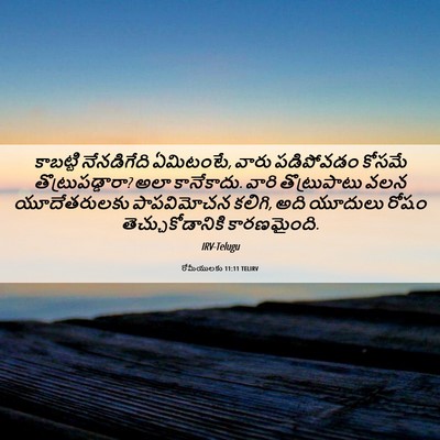 Picture 06 - రోమీయులకు 11:11 TELIRV - కాబట్టి నేనడిగేది - Bible Verse Picture