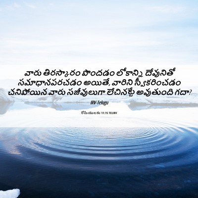 Picture 06 - రోమీయులకు 11:15 TELIRV - వారు తిరస్కారం - Bible Verse Picture