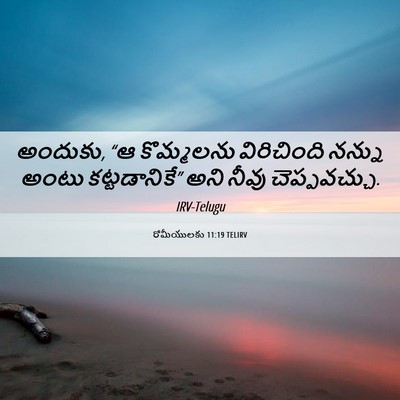 Picture 06 - రోమీయులకు 11:19 TELIRV - అందుకు, “ఆ - Bible Verse Picture