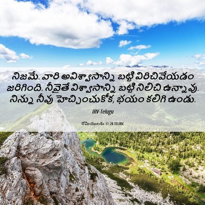 Picture 06 - రోమీయులకు 11:20 TELIRV - నిజమే. వారి - Bible Verse Picture