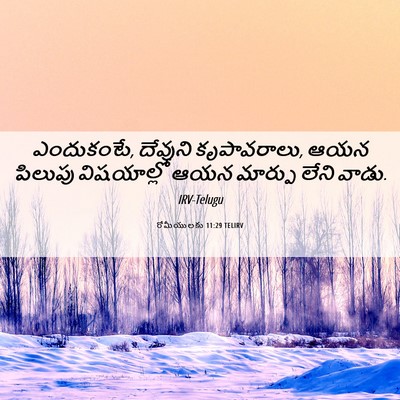 Picture 06 - రోమీయులకు 11:29 TELIRV - ఎందుకంటే, దేవుని - Bible Verse Picture