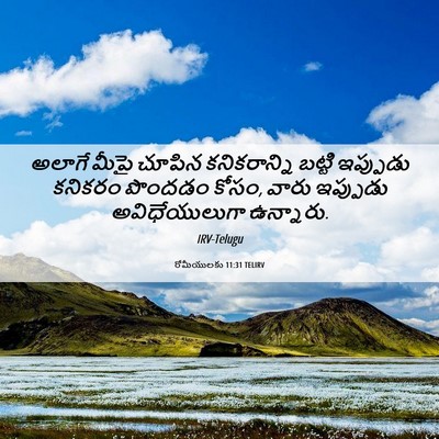 Picture 06 - రోమీయులకు 11:31 TELIRV - అలాగే మీపై చూపిన - Bible Verse Picture