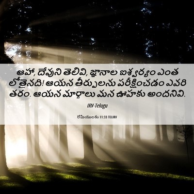 Picture 06 - రోమీయులకు 11:33 TELIRV - ఆహా, దేవుని తెలివి, - Bible Verse Picture