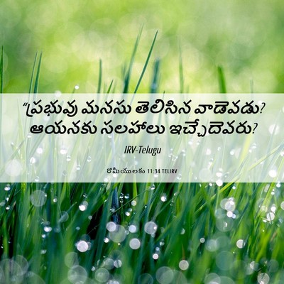 Picture 06 - రోమీయులకు 11:34 TELIRV - “ప్రభువు మనసు - Bible Verse Picture