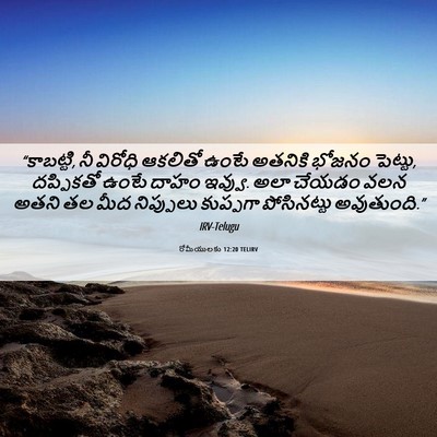 Picture 06 - రోమీయులకు 12:20 TELIRV - “కాబట్టి, నీ - Bible Verse Picture