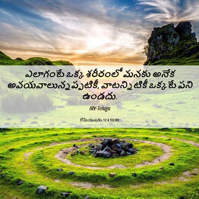 Picture 06 - రోమీయులకు 12:4 TELIRV - ఎలాగంటే ఒక్క - Bible Verse Picture