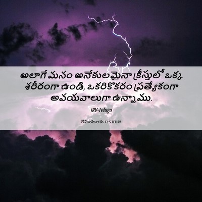 Picture 06 - రోమీయులకు 12:5 TELIRV - అలాగే మనం - Bible Verse Picture