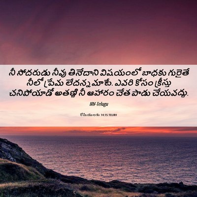 Picture 06 - రోమీయులకు 14:15 TELIRV - నీ సోదరుడు నీవు - Bible Verse Picture