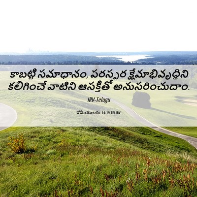 Picture 06 - రోమీయులకు 14:19 TELIRV - కాబట్టి సమాధానం, - Bible Verse Picture