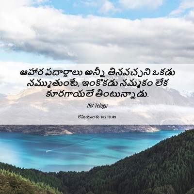 Picture 06 - రోమీయులకు 14:2 TELIRV - ఆహార పదార్ధాలు - Bible Verse Picture