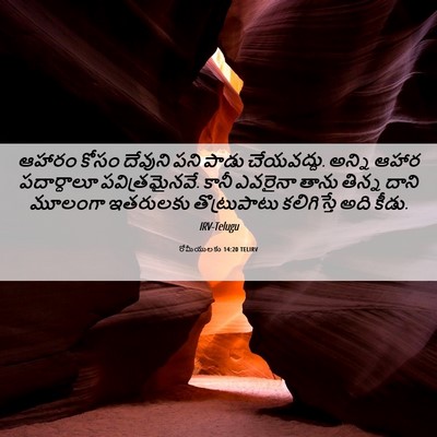 Picture 06 - రోమీయులకు 14:20 TELIRV - ఆహారం కోసం దేవుని - Bible Verse Picture