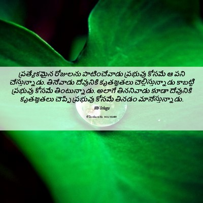 Picture 06 - రోమీయులకు 14:6 TELIRV - ప్రత్యేకమైన - Bible Verse Picture