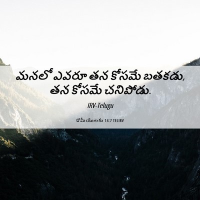 Picture 06 - రోమీయులకు 14:7 TELIRV - మనలో ఎవరూ తన కోసమే - Bible Verse Picture