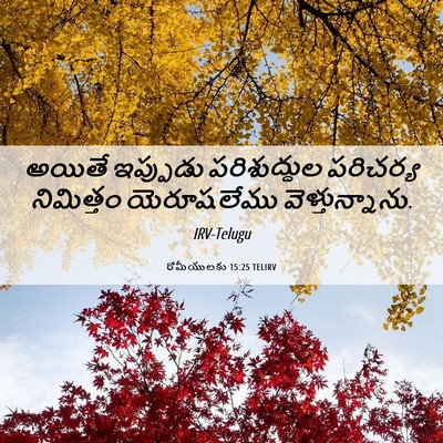 Picture 06 - రోమీయులకు 15:25 TELIRV - అయితే ఇప్పుడు - Bible Verse Picture