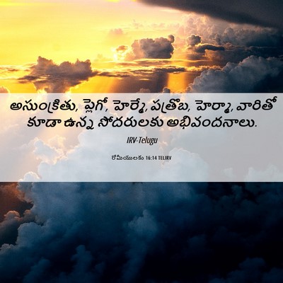 Picture 06 - రోమీయులకు 16:14 TELIRV - అసుంక్రితు, - Bible Verse Picture