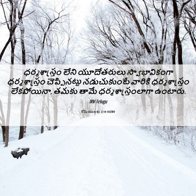Picture 06 - రోమీయులకు 2:14 TELIRV - ధర్మశాస్త్రం లేని - Bible Verse Picture
