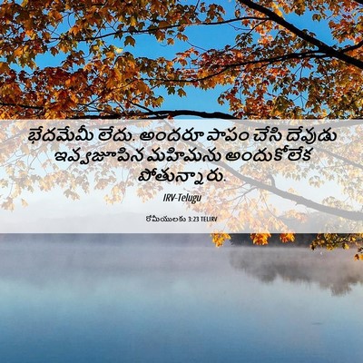 Picture 06 - రోమీయులకు 3:23 TELIRV - భేదమేమీ లేదు. - Bible Verse Picture