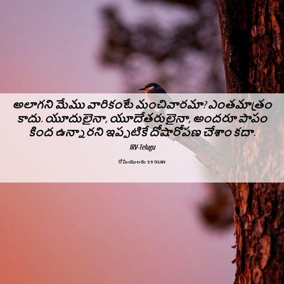 Picture 06 - రోమీయులకు 3:9 TELIRV - అలాగని మేము - Bible Verse Picture
