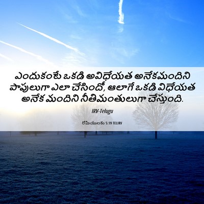 Picture 06 - రోమీయులకు 5:19 TELIRV - ఎందుకంటే ఒకడి - Bible Verse Picture