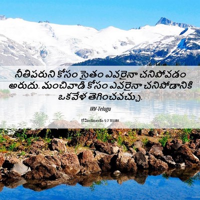 Picture 06 - రోమీయులకు 5:7 TELIRV - నీతిపరుని కోసం - Bible Verse Picture