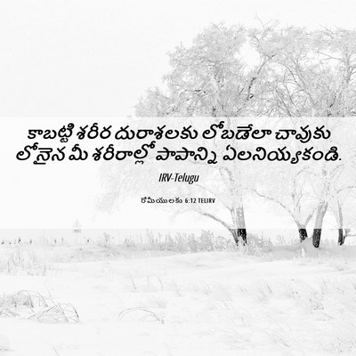 Picture 06 - రోమీయులకు 6:12 TELIRV - కాబట్టి శరీర - Bible Verse Picture