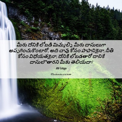 Picture 06 - రోమీయులకు 6:16 TELIRV - మీరు దేనికి లోబడి - Bible Verse Picture