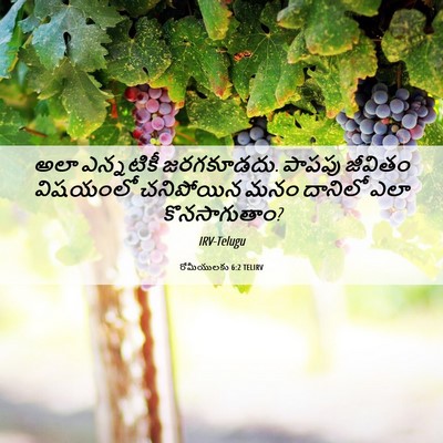 Picture 06 - రోమీయులకు 6:2 TELIRV - అలా ఎన్నటికీ - Bible Verse Picture