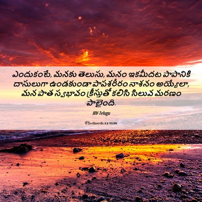Picture 06 - రోమీయులకు 6:6 TELIRV - ఎందుకంటే, మనకు - Bible Verse Picture