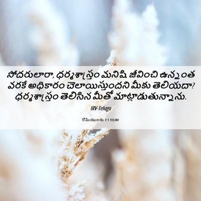 Picture 06 - రోమీయులకు 7:1 TELIRV - సోదరులారా, - Bible Verse Picture